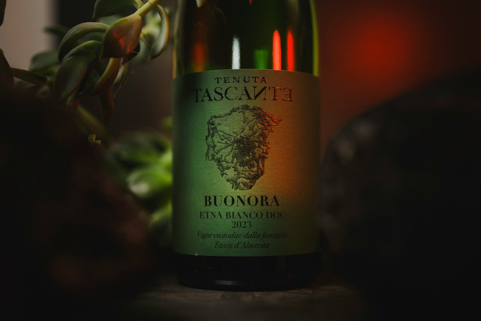 Az Etna saját apellációval is rendelkezik már