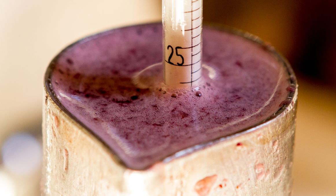 Hydrometer