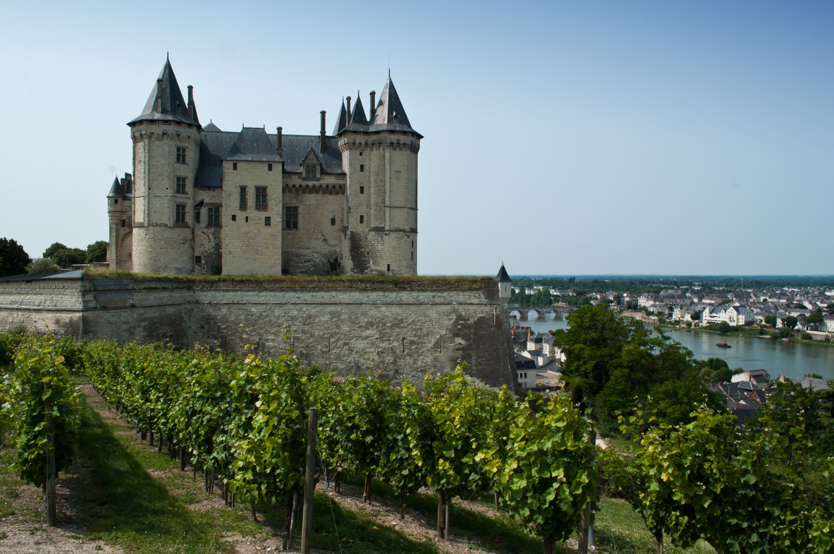 A Loire-völgyében is egyre elterjedtebb a Chenin Blanc