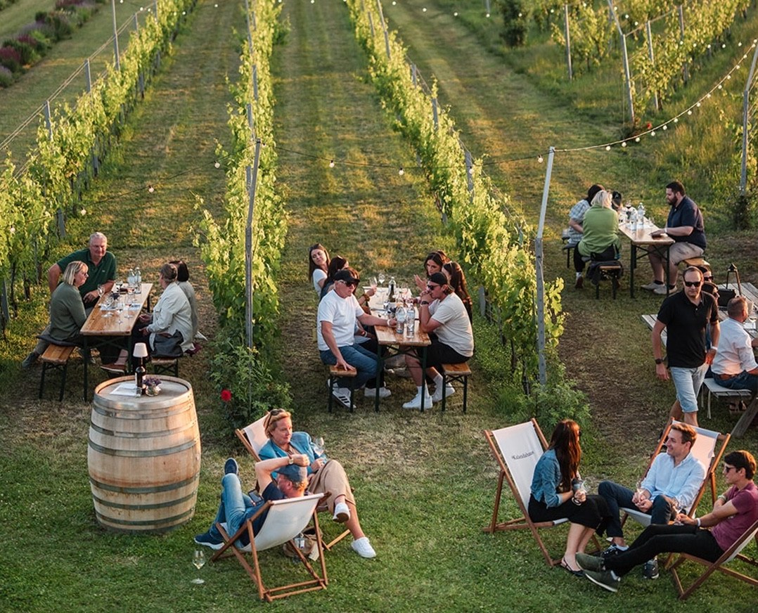 Weingut Esterházy a Fertő útbaejthető egy biciklitúra utvonalába is