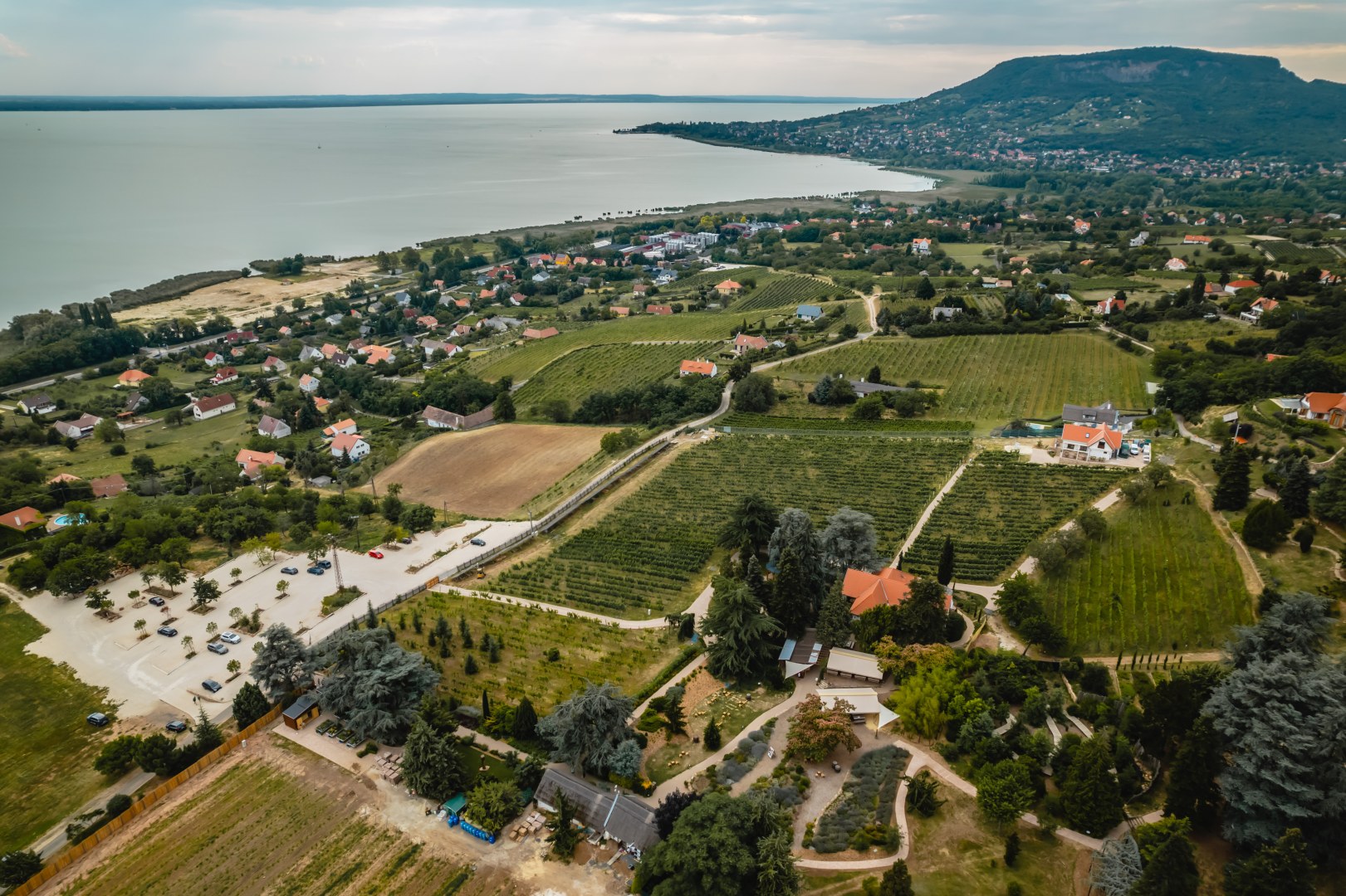 Aerial view of vineyards and the Folly Arboretum estate in Badacsonyörs, overlooking Lake Balaton and the volcanic hills of Badacsony.