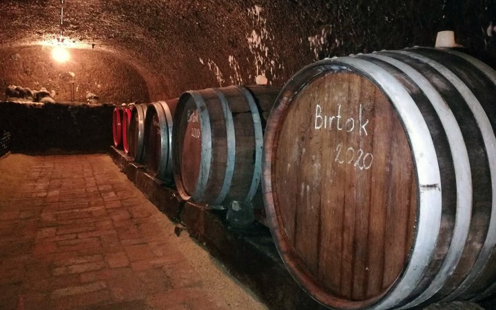 Anna wine tasting at the Avas cellar row