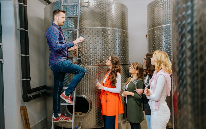 Balogh wine dinner with a main course made from their own grey cattle