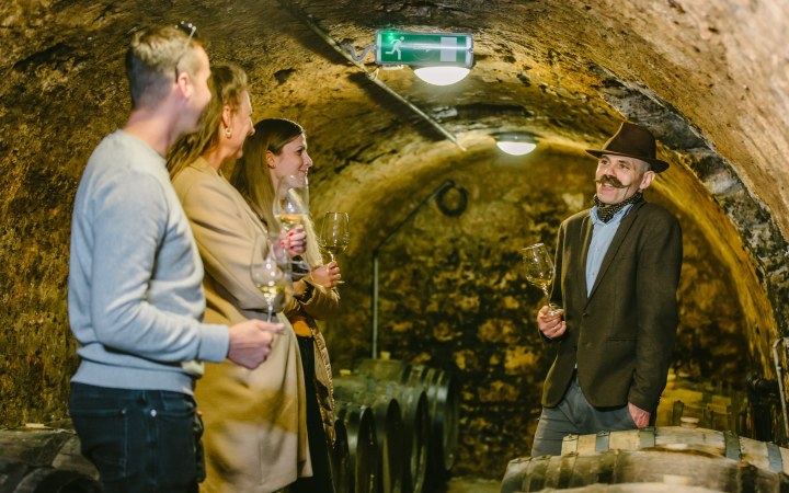 Basilicus wine tasting with 6 puttonyos aszú