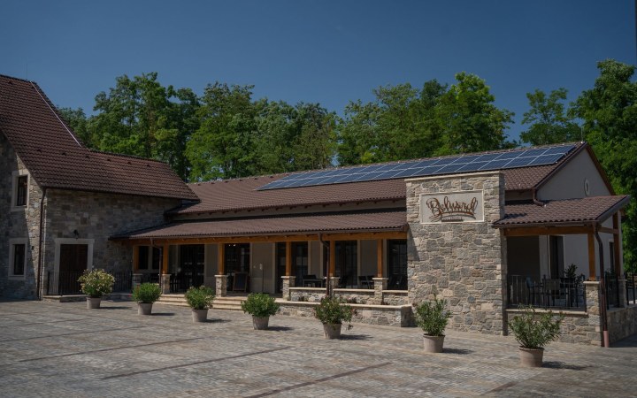 Belward wine tasting with light, fruity, reductive wines