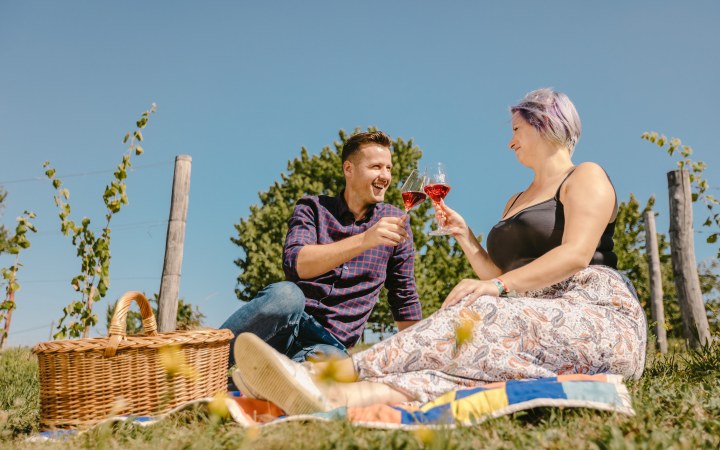 Borboléta borkóstoló piknik a szőlőhegyen