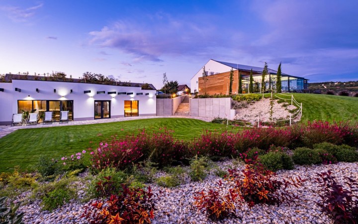 Dobosi wine tasting with a freely assembled wine selection