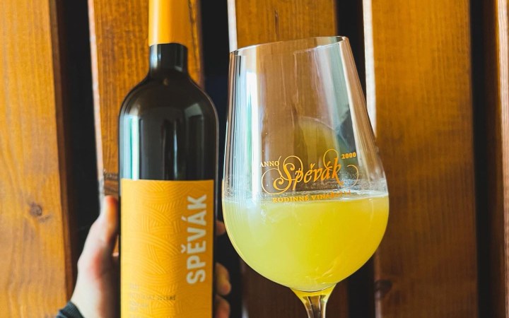 Spěvák wine tasting in the Moravian wine hub