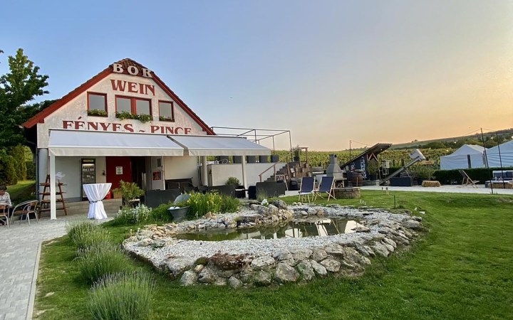 Fényes wine tasting at the stunning Lake Fertő estate