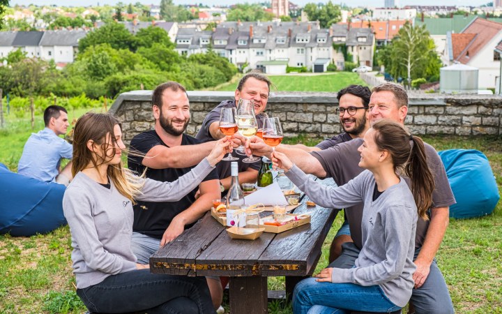 Figula wine tasting with Balaton views and unique cellar style