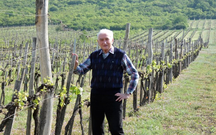 Galambos borkóstoló tokaji dűlőtúrával