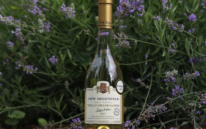 Gróf Degenfeld Nemes borkóstoló a kastélyszállóban 5 puttonyos aszúval