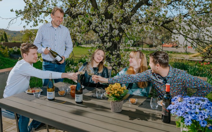 Hangyál wine tasting overlooking of the barrel aging room
