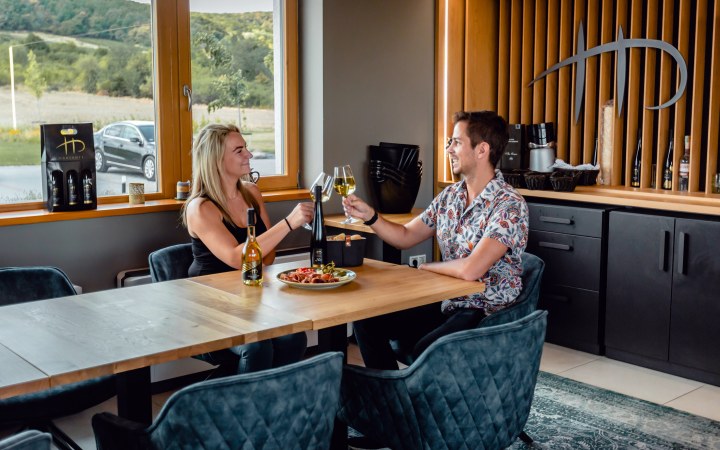 Harsányi borkóstoló pincebemutatóval és hidegtállal