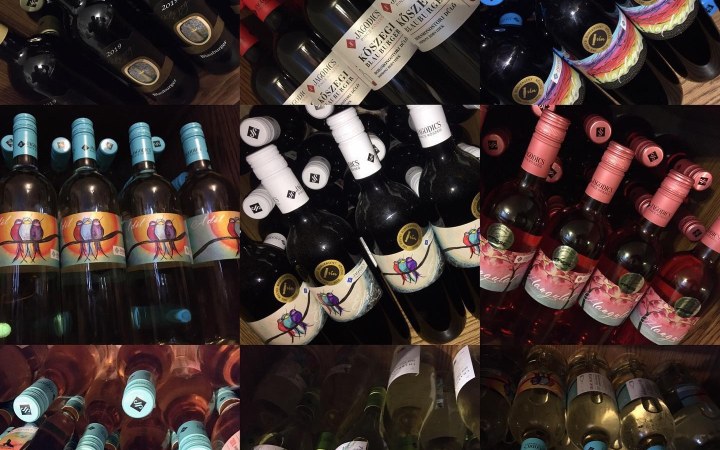 Jagodics wine tasting with barrel-aged red wines