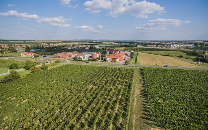 Jammertal borkóstoló az ország egyik legszebb szőlőbirtokán