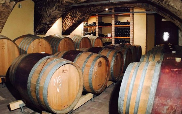 Jandl wine tasting with genuine Fertőrákos wines