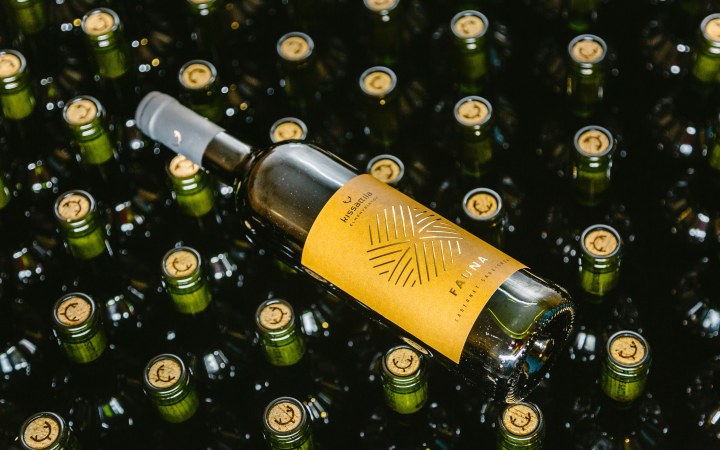 KissAttila wine tasting with a young winemaker