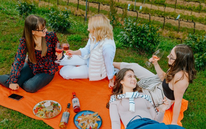 Koczor wine tasting at the family winery with centuries of tradition