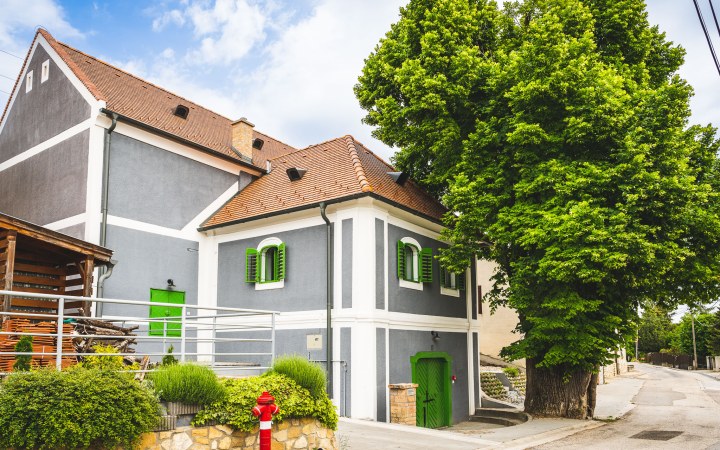 Lamberg borkóstoló a minden igényt kielégítő uradalmi pincében