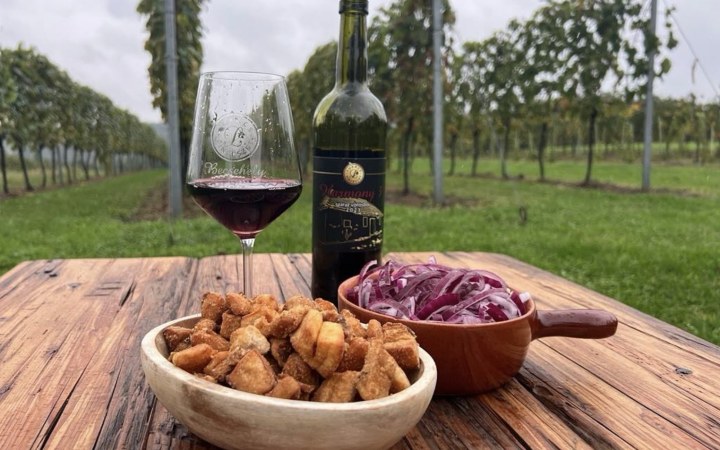 Lukács wine tasting with award-winning, aromatic South Zala wines full of vibrant acidity