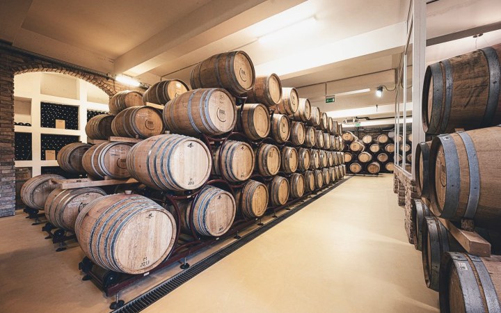 Maul Zsolt prémium borkóstoló teljes pincetúrával