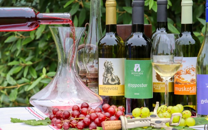 Medvebor wine tasting with artisan wines