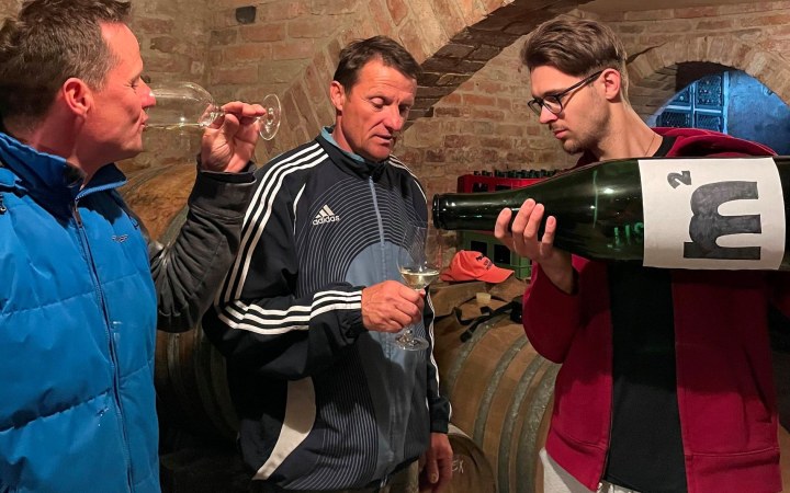 Molnár borkóstoló vegyszermentes szőlőből készült borokkal