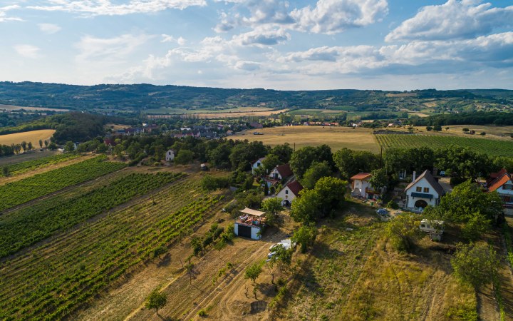 Mórocz wine tasting with artisan cheeses and a fairytale Balaton panorama