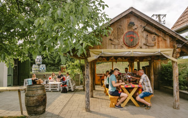 PapPince borkóstoló borvacsorával vagy ebéddel kemencében sült étellel