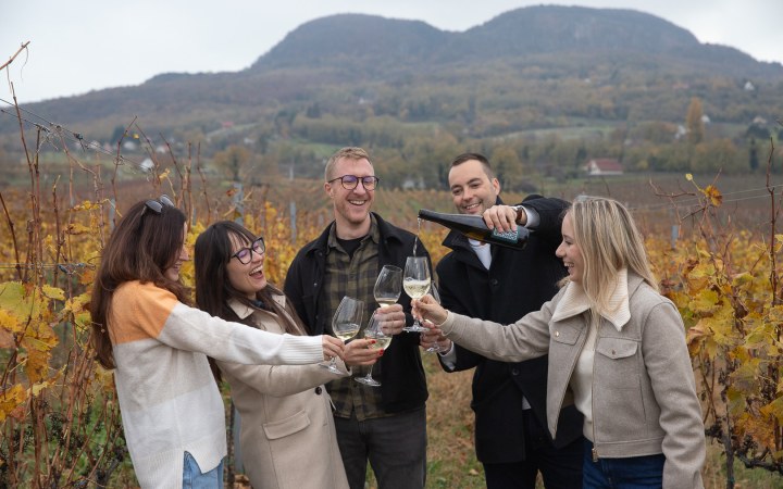 Patányi borkóstoló egy családi pincészet terroir-központú és hiteles badacsonyi boraival
