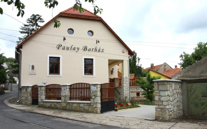 Paulay borkóstoló a Bodrog partjához közeli borászatban