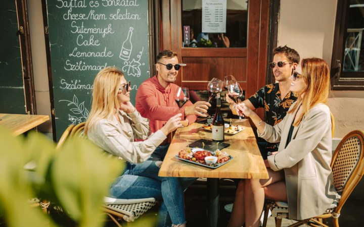 Petrény wine tasting with superior vineyard wines in downtown Eger