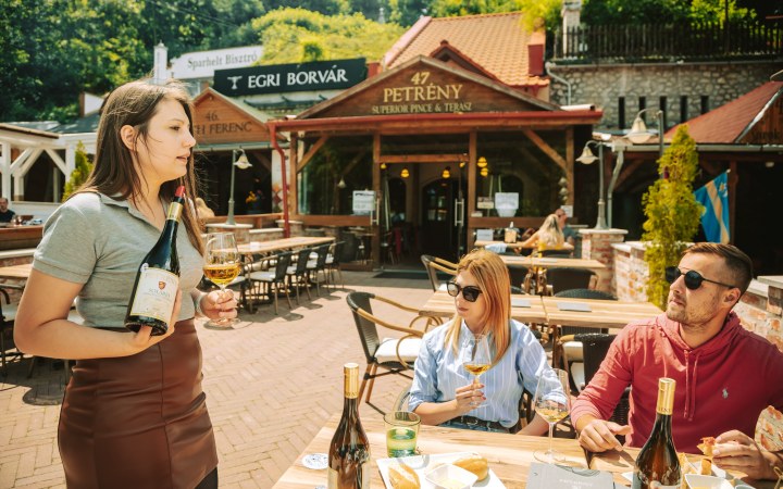 Petrény wine tasting with basic wine selection in the Szépasszony Valley