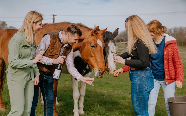 Placebor borkóstoló az egykori TSZ majorban