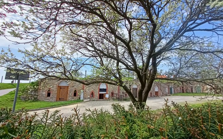 Trtkovi borkóstoló hat morva borral