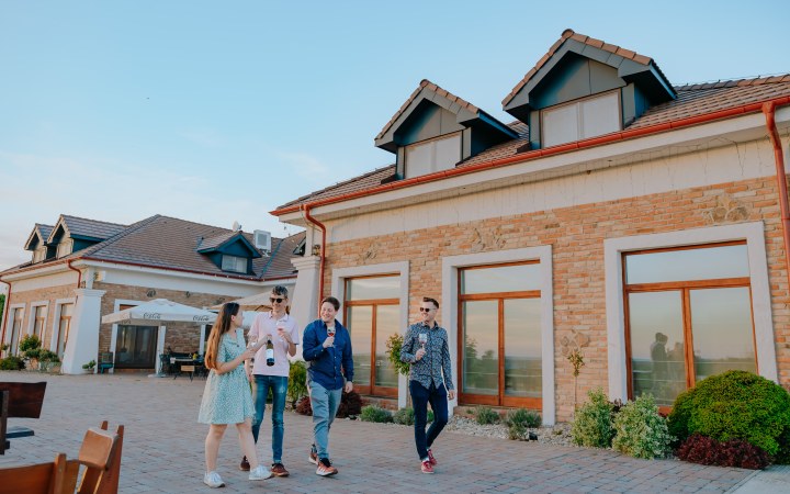 St. Peter Vini wine tasting with an unforgettable cellar tour