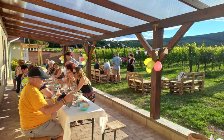 Stefanich wine tasting at the forest-edge winery