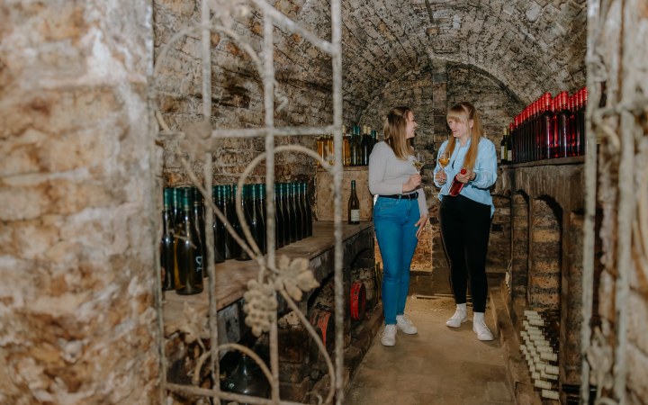 Stróbl borkóstoló a baji szőlőhegyen