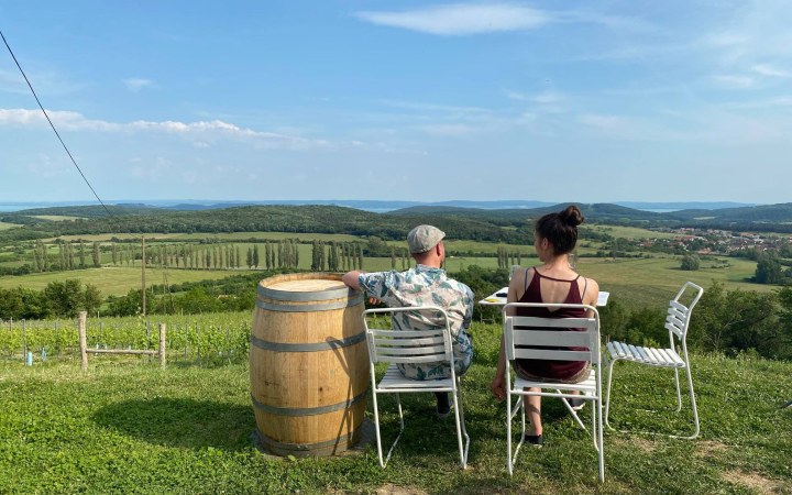 Strommer wine tasting with incredible Lake Balaton view