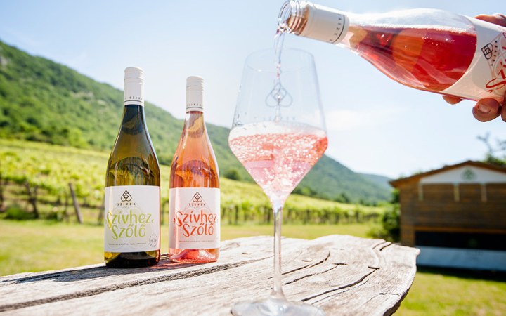 Szivek borkóstoló egy őszinte és organikus családi borászatnál