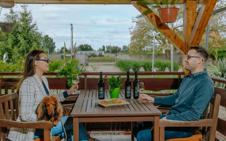 Szuhvin borkóstoló a szőlővel körbeültetett hetényi birtokon