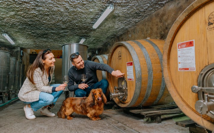 Szuhvin borkóstoló borvacsorával és szállás lehetőséggel