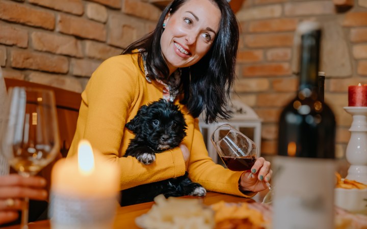 Tamašek wine tasting with fresh vintage wines