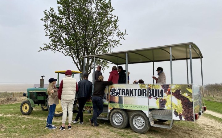 Taschner wine tasting with tractor vineyard tour