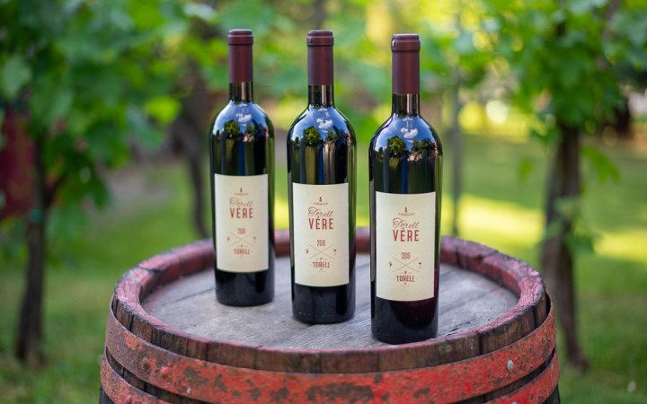 Torell wine tasting in a medieval cellar