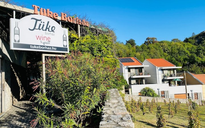 Tüke wine tasting with breathtaking views in the charming district of Pécs