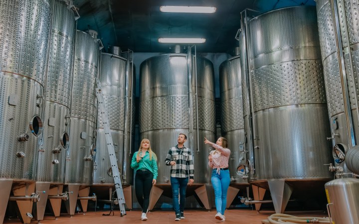Vaszary wine tasting in a family-friendly atmosphere