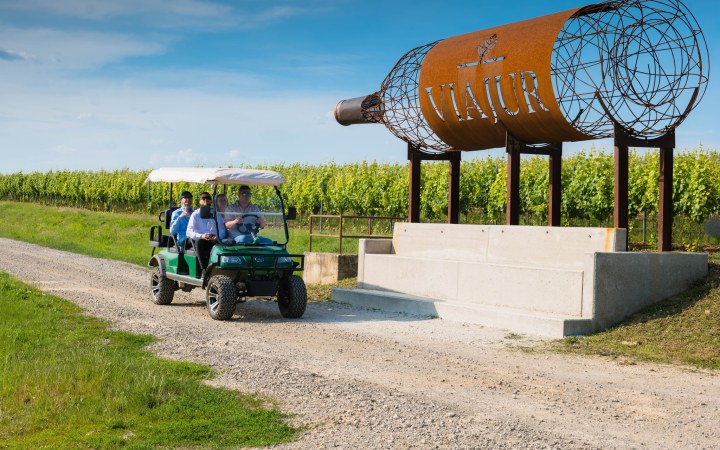VIAJUR dűlőtúra golfautóval és négy üveg prémium borral az ültetvényeket járva