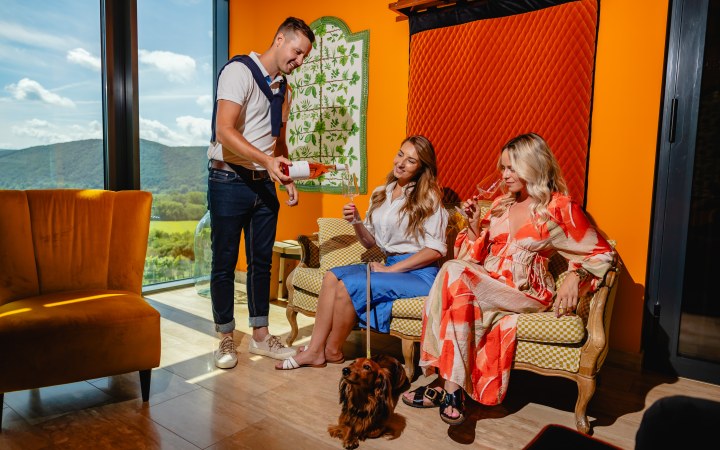 Világi wine tasting with cold platter and chocolate pairing